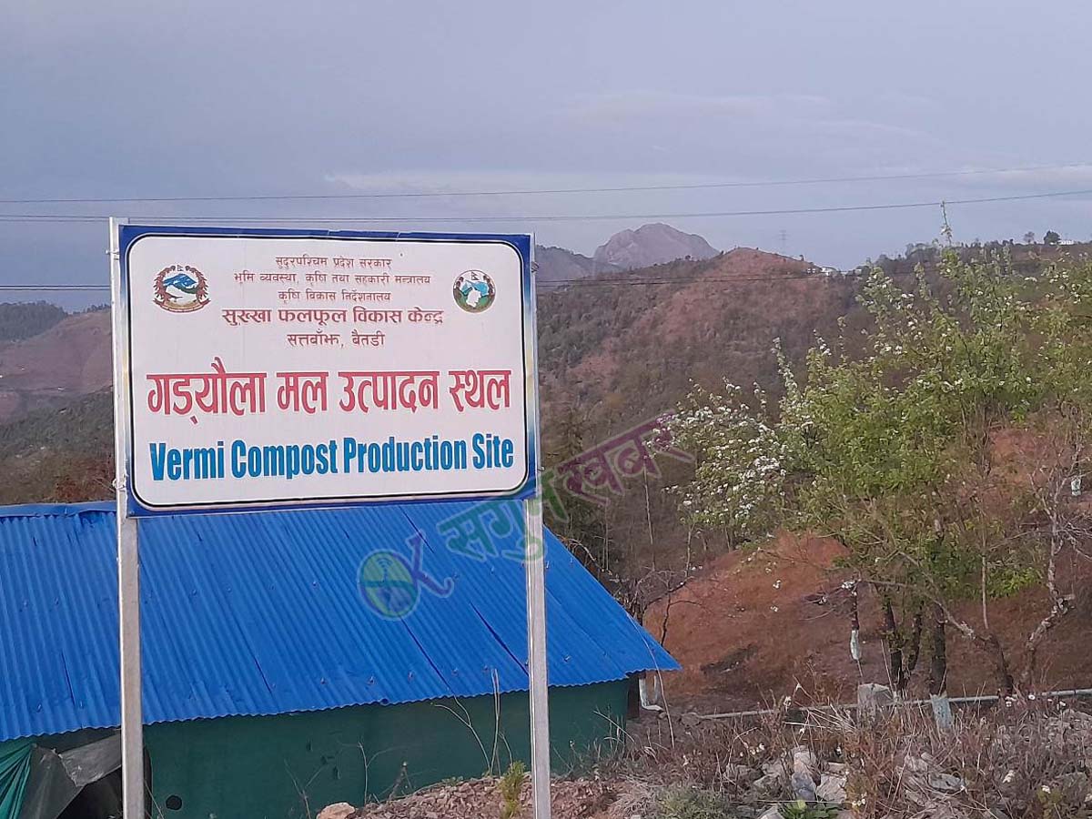 बैतडीमा गड्यौला मल उत्पादन शुरु 